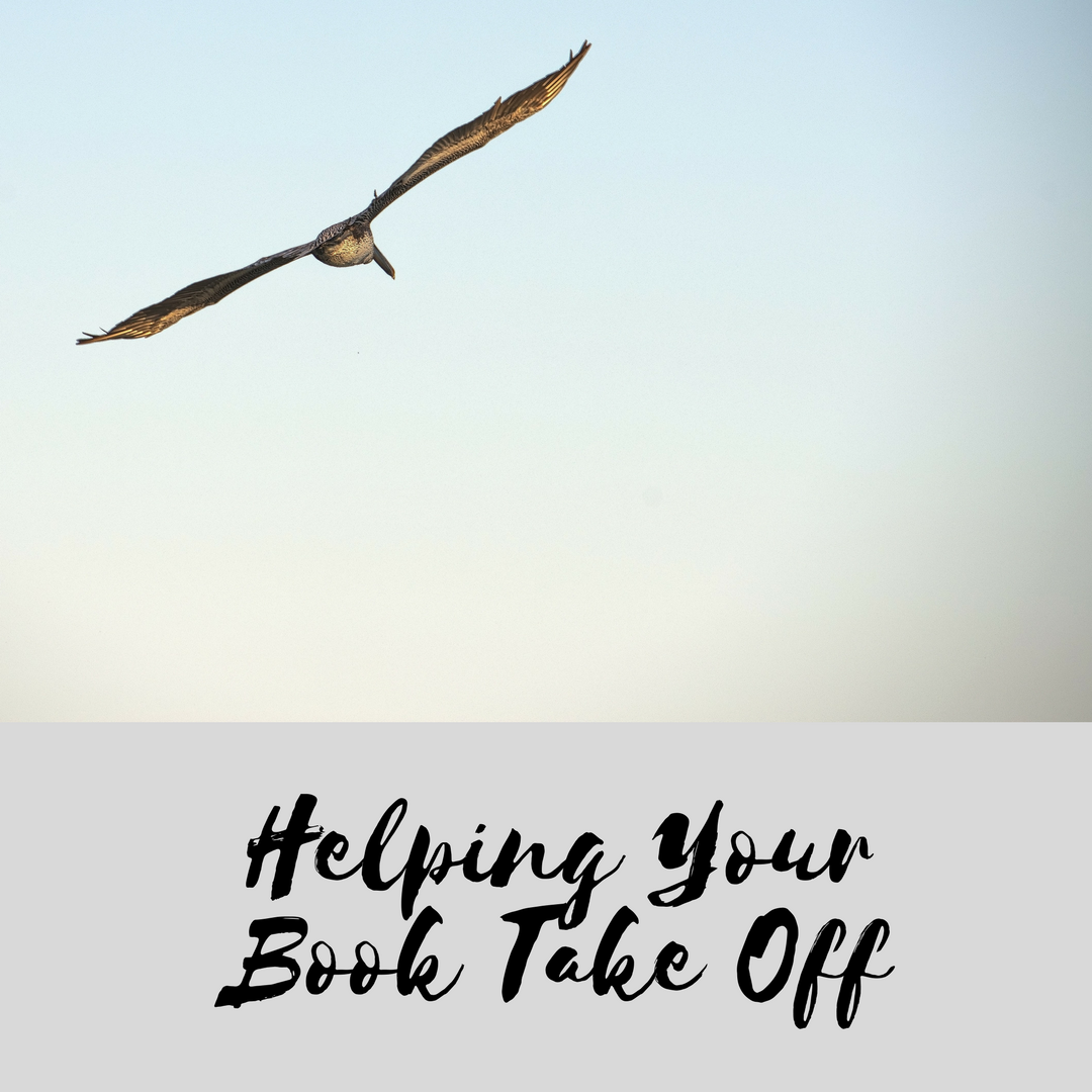 What To Include In Your Book Launch Schedule Writing As A Second Career